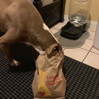 Dr Marchi - Pet Euthanasia at Home - His last 2 days, we let him eat burgers and fries and steaks. He couldn't wait for me to get this meal out of the bag! - Veterinarians Near Me - Long Beach, California