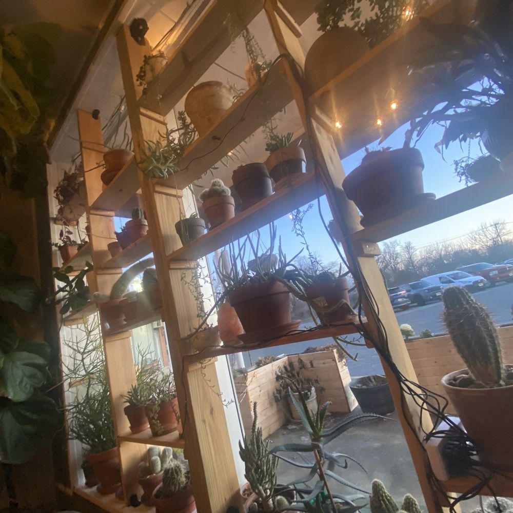 Verdant Cafe - Comfort Food Near Me - Hi-Nella, New Jersey Verdant Cafe - Comfort Food Near Me - Hi-Nella, New Jersey