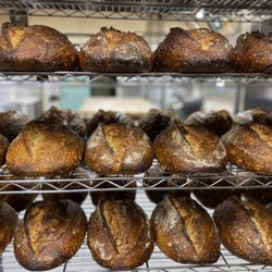 Portside Bakery - Sausalito Sourdough