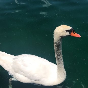 Lake Eola Park - Parks Near Me - Orlando, Florida