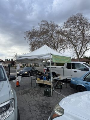 Zanotto's Family Market by null