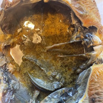 The Boiling Crab - Parasite-filled Dungeness crab. Please zoom in to be disgusted. - Seafood Near Me - Alhambra, California The Boiling Crab - Parasite-filled Dungeness crab. Please zoom in to be disgusted. - Seafood Near Me - Alhambra, California