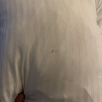Windmill Suites Surprise, Ascend Hotel Collection - Dirty pillow covers. - Hotels Near Me - Surprise, Arizona Windmill Suites Surprise, Ascend Hotel Collection - Dirty pillow covers. - Hotels Near Me - Surprise, Arizona