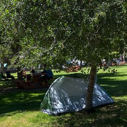 Encino Park - New houseless neighbors in need of permanent housing.