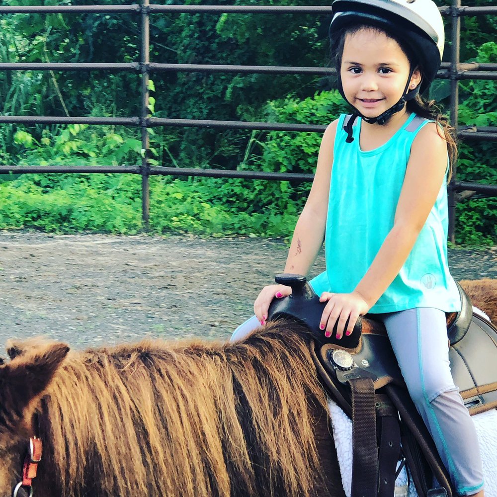 Aloha Riding Lessons - Horseback Riding Near Me - Honolulu, Hawaii Aloha Riding Lessons - Horseback Riding Near Me - Honolulu, Hawaii