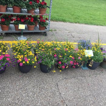 Panse Greenhouse - Great prices on flowers after June 1st!! - Nurseries & Gardening Near Me - Kalamazoo, Michigan Panse Greenhouse - Great prices on flowers after June 1st!! - Nurseries & Gardening Near Me - Kalamazoo, Michigan