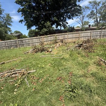 Affordable Tree Care & Stump Removal - Tree Services Near Me Affordable Tree Care & Stump Removal - Tree Services Near Me