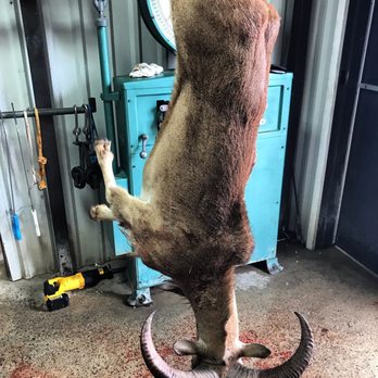 Pro Texas Hunts - Hunting & Fishing Supplies Near Me - San Antonio, Texas Pro Texas Hunts - Hunting & Fishing Supplies Near Me - San Antonio, Texas