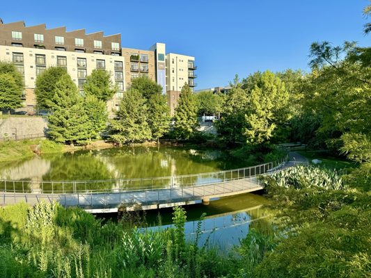 Historic Fourth Ward Park by null