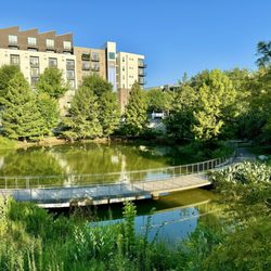 Historic Fourth Ward Park - Pond at the Park