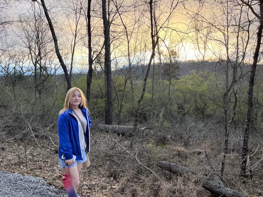 Big Bone Lick State Historic Site by null