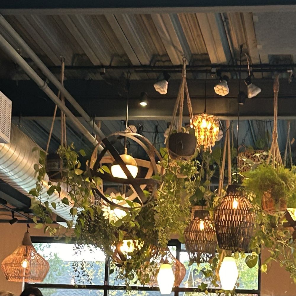 Spork - Ambience plants, some of the lighting, and decor - Mexican Near Me - Bend, Oregon Spork - Ambience plants, some of the lighting, and decor - Mexican Near Me - Bend, Oregon