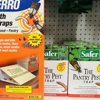 Lake Oswego Ace Hardware - Pantry Kitchen Moth Traps - Hardware Stores Near Me - Lake Oswego, Oregon Lake Oswego Ace Hardware - Pantry Kitchen Moth Traps - Hardware Stores Near Me - Lake Oswego, Oregon