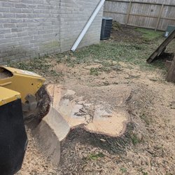 Carrillo Tree Service