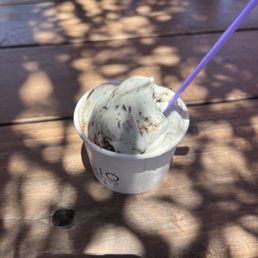 Mint chip gelato