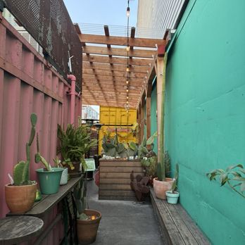 Tacos Oscar - Outdoor vibes - Tacos Near Me - Oakland, California Tacos Oscar - Outdoor vibes - Tacos Near Me - Oakland, California