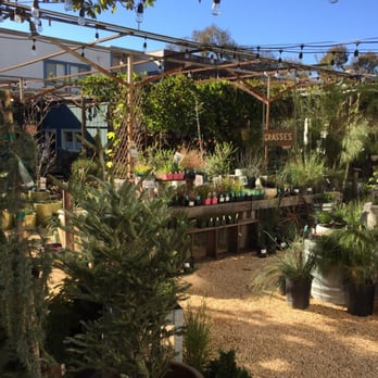 Flowerland - Nurseries & Gardening Near Me - Albany, California