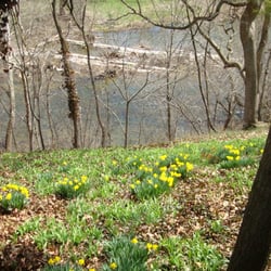 Jacob Swartz House - River view