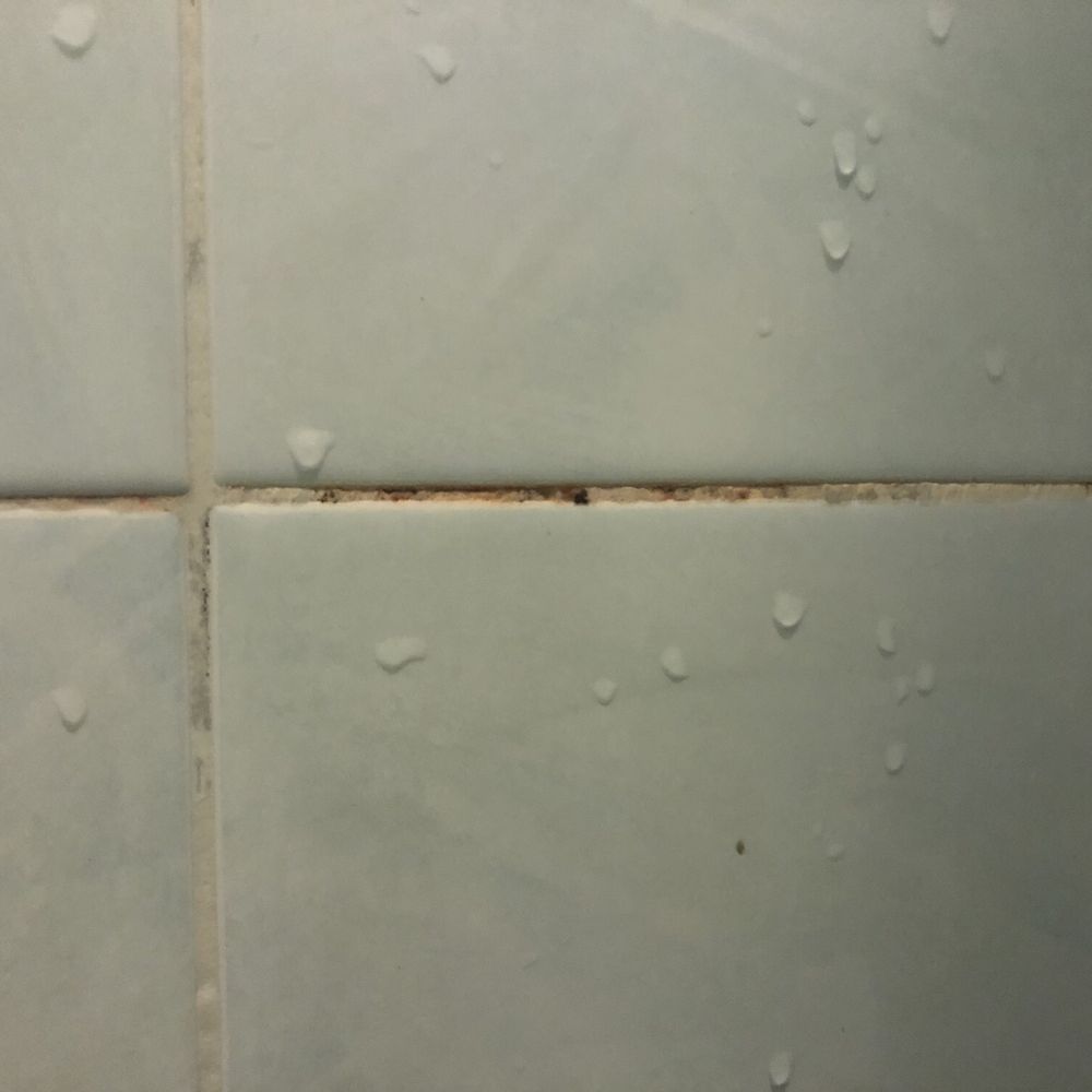 Hotel Stella - Mold inside shower - Hotels Near Me - Rome, RM
