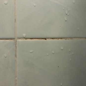 Hotel Stella - Mold inside shower - Hotels Near Me - Rome, RM