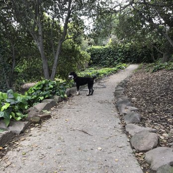 Linda Park - Parks Near Me - Piedmont, California Linda Park - Parks Near Me - Piedmont, California