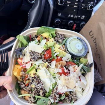 Urban Acre - Citrus Basil Chicken Salad - Salad Near Me - Orem, Utah Urban Acre - Citrus Basil Chicken Salad - Salad Near Me - Orem, Utah