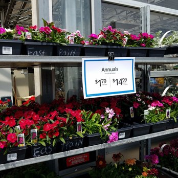 English Gardens - Annuals on sale much to choose from - Nurseries & Gardening Near Me - Eastpointe, Michigan English Gardens - Annuals on sale much to choose from - Nurseries & Gardening Near Me - Eastpointe, Michigan