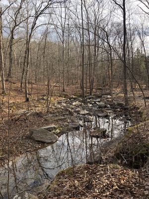 Shawnee National Forest by null