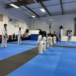 Blue Dragon Taekwondo Academy - Little Dragons