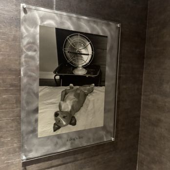 240 Union - Men's bathroom artwork - New American Near Me - Lakewood, Colorado 240 Union - Men's bathroom artwork - New American Near Me - Lakewood, Colorado