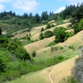 Long Ridge Open Space Preserve - The Bay Area Ridge Trail - Parks Near Me - Cupertino, California