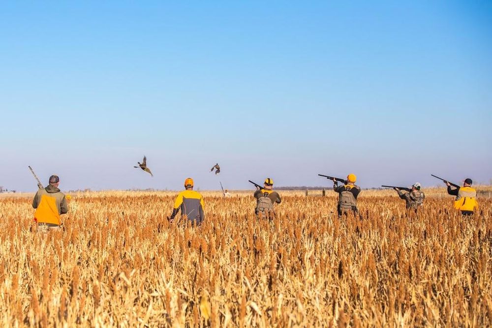 DeBoer's Guide Service Logo