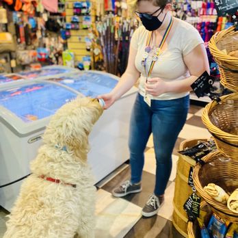Mud Bay - Baci x puppy gelato run! - Pet Stores Near Me - Seattle, Washington