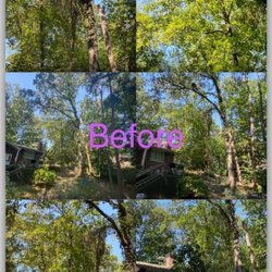 JB @Mc's Trees - Thank you Ms Carr for having us take care of ur  tree care needs in Canton Ga