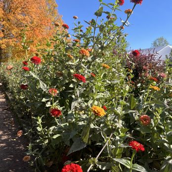 Greendance Winery - Pretty garden flowers - Wineries Near Me - Mount Pleasant, Pennsylvania