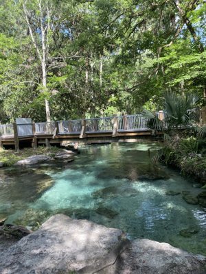 Kelly Park - Rock Springs by null