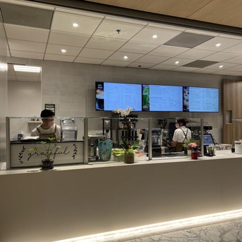 Cafe Daisy - Coffee & Tea Near Me - Honolulu, Hawaii