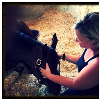 Flowing Mane Massage - Beautiful session. - Pet Services Near Me Flowing Mane Massage - Beautiful session. - Pet Services Near Me