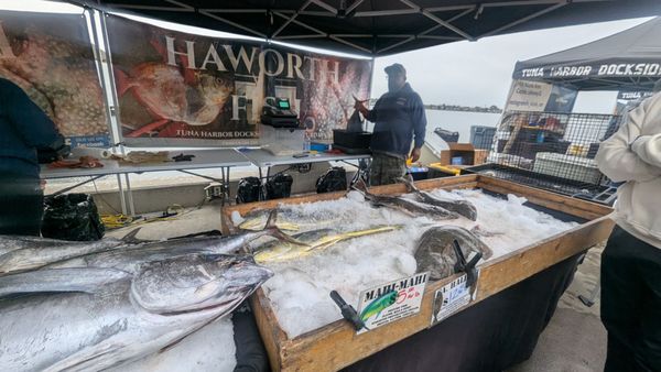 OPEN AIR FISH MARKET - Updated February 2026 - 24 Photos & 13