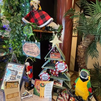 Intrepid Escape Rooms Orange County - Jungle Jim, the talking parrot in the lobby - Escape Games Near Me - Tustin, California Intrepid Escape Rooms Orange County - Jungle Jim, the talking parrot in the lobby - Escape Games Near Me - Tustin, California