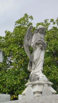 Metairie Cemetery by null