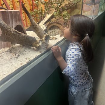 CALM Zoo - Zoos Near Me - Bakersfield, California