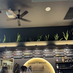 Stoic Brews Alternative - Drafts