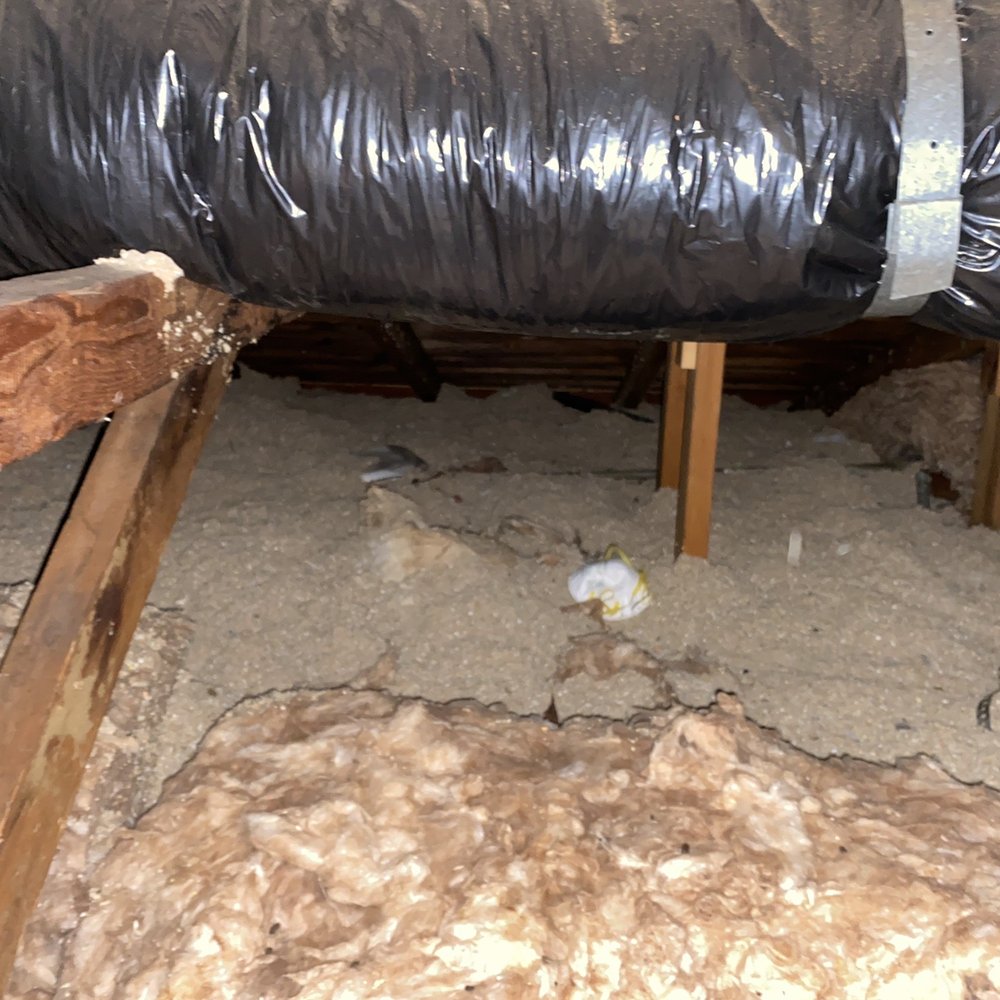 Atticare - The attic with old insulation and some rodent droppings - Insulation Installation Near Me - Burbank, California Atticare - The attic with old insulation and some rodent droppings - Insulation Installation Near Me - Burbank, California