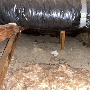 Atticare - The attic with old insulation and some rodent droppings - Insulation Installation Near Me - Burbank, California Atticare - The attic with old insulation and some rodent droppings - Insulation Installation Near Me - Burbank, California