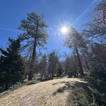Pine Knot Trail - View - Hiking Near Me - Big Bear Lake, California
