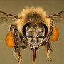 Photo of Panama City Honey Company