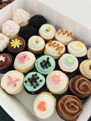 Dots Cupcake Mural