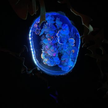 Meow Wolf - Venues & Event Spaces Near Me - Denver, Colorado