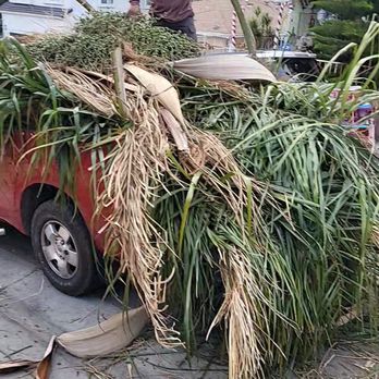 Bernabe Tree Service - Tree Services Near Me - Riverside, California